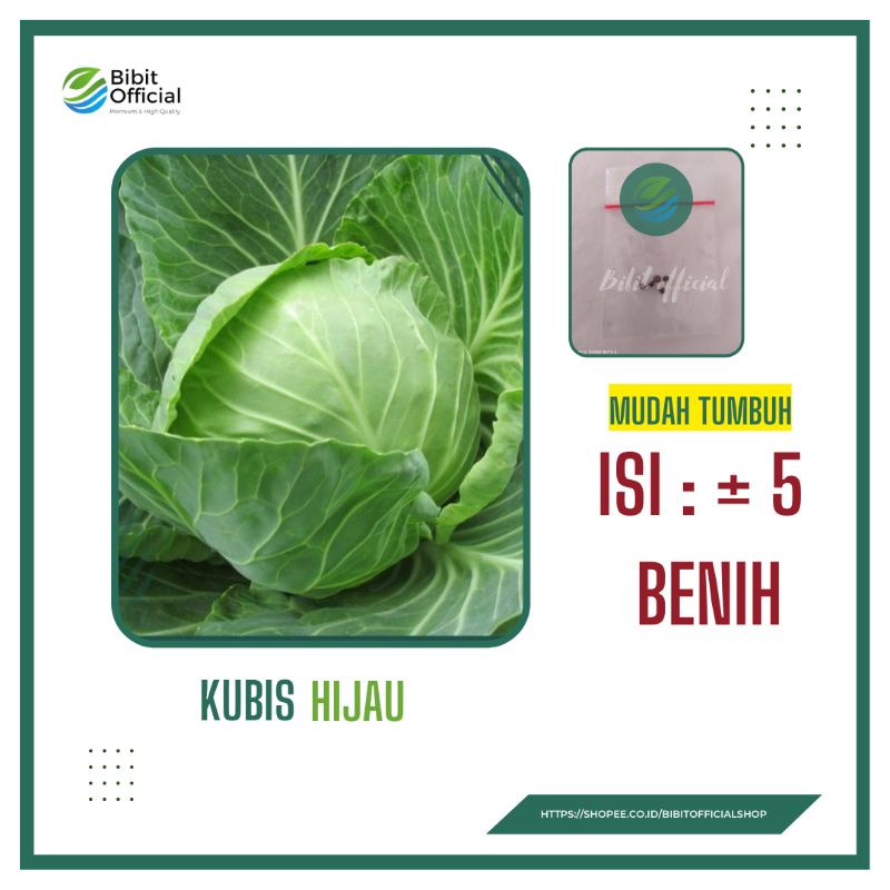 5 Benih  Bibit Kubis Hijau  Sehati Dataran Rendah Cap Panah Merah Bibit Tanaman Sayur