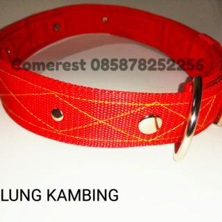 Kalung Kambing Lengkap Dengan Tali Shopee Indonesia