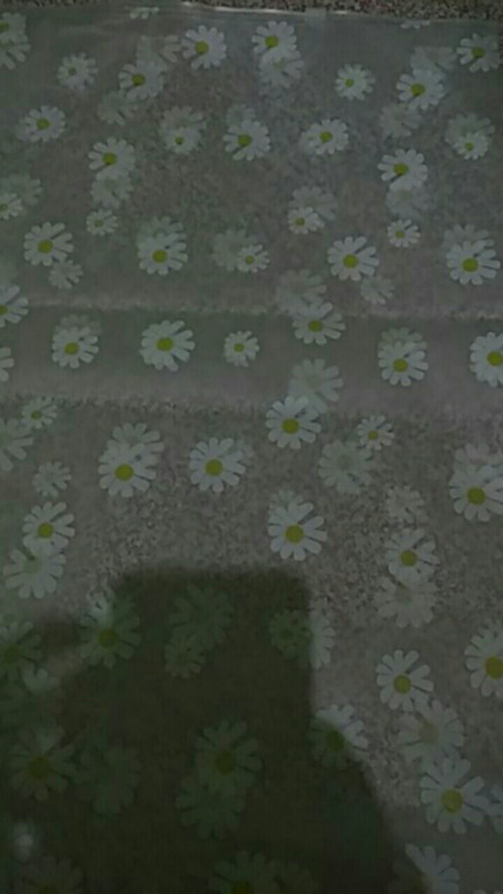 [tu] Kantong Zip Lock Transparan Bunga Daisy - Hw0115