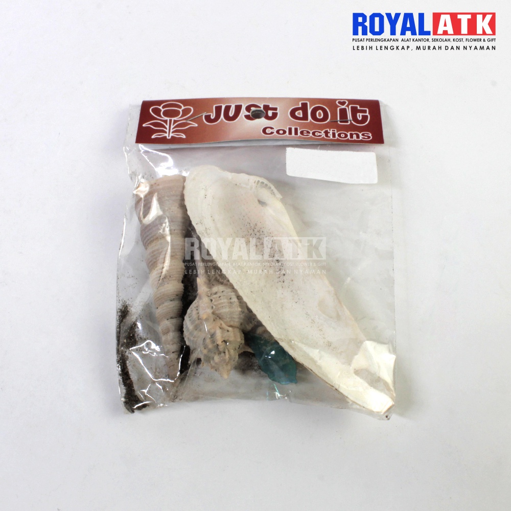 Cangkang Kerang dan keong untuk kerajinan