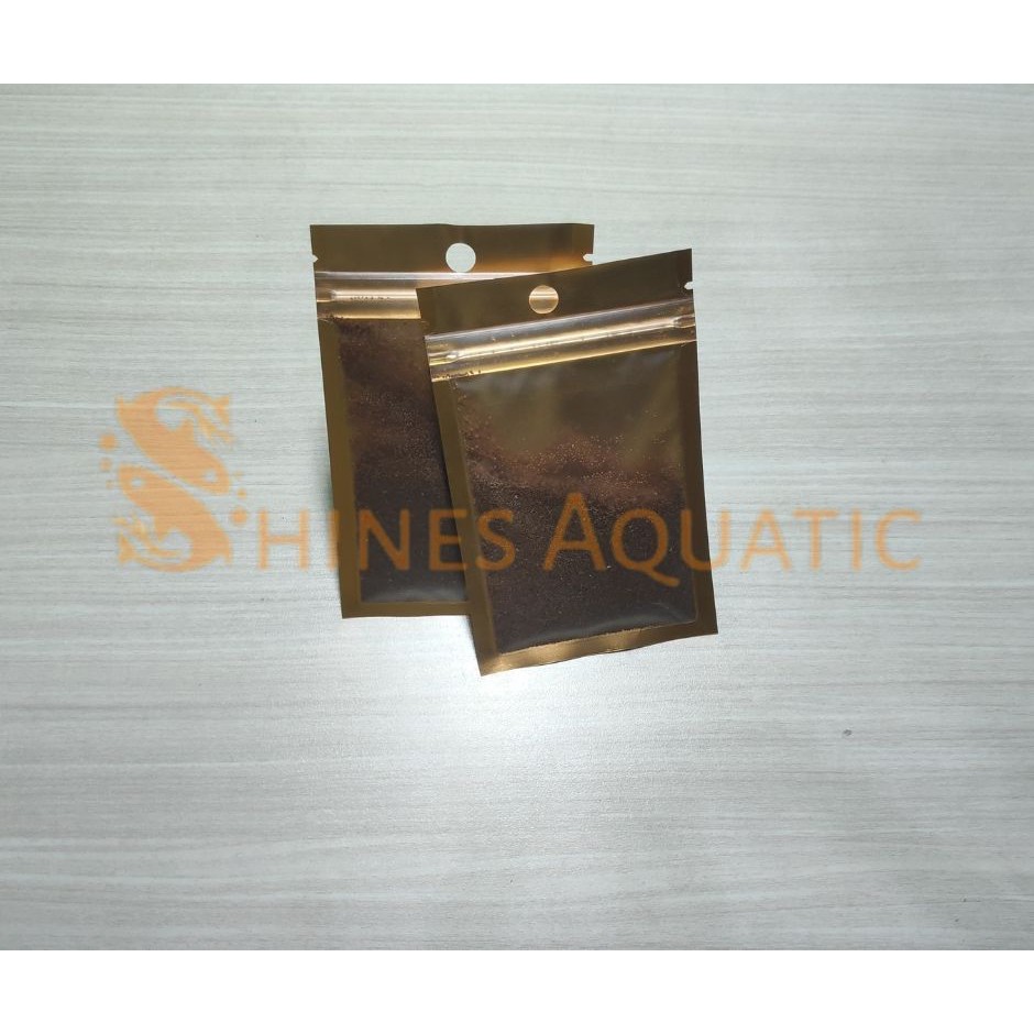 Bibit karpet carped seed Big leaf Seaweed bibit tanaman aquarium aquascape - S