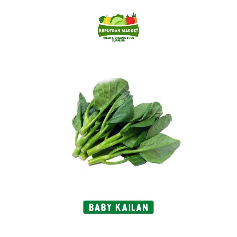 

Baby Kailan Per Ikat / Produk Langka
