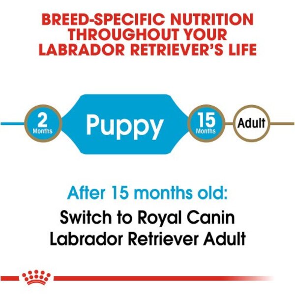 Royal Canin Labrador Retriever Puppy Junior 3 kg Makanan Anak Anjing