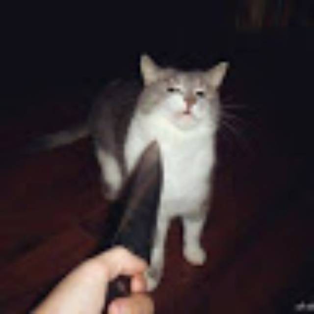 sujihisage
