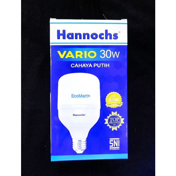 Lampu Led Hannochs Vario 30w