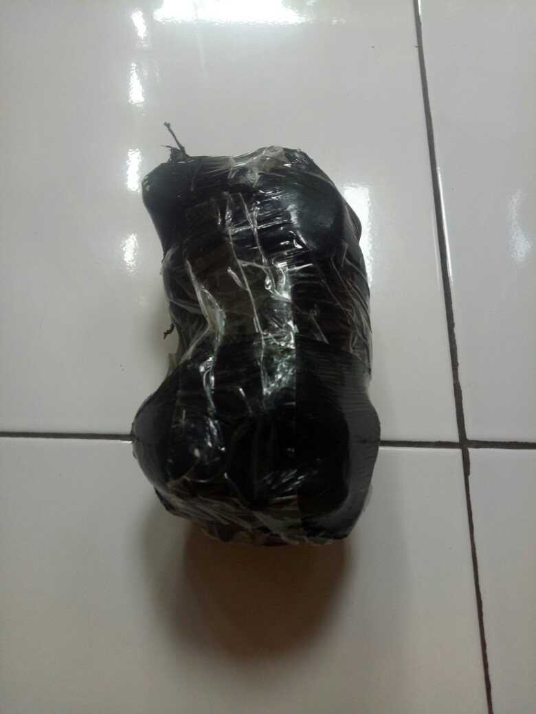 Batu Koral Putih Kupang