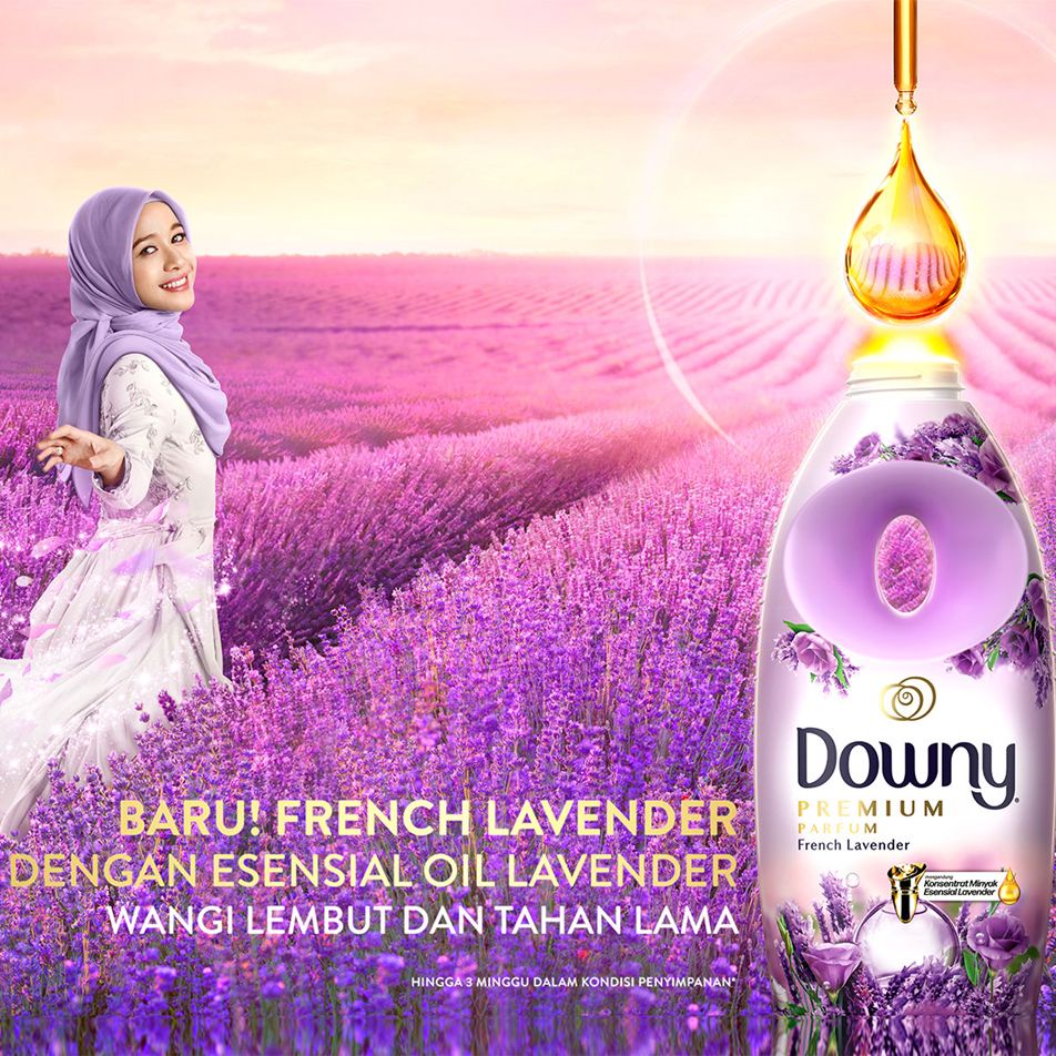 Downy Pelembut dan Pewangi Pakaian Konsentrat French Lavender 900 mL - Paket Isi 3