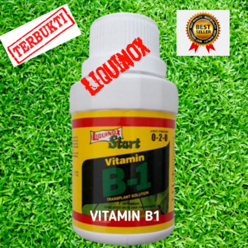 Jual Liquinox Start Vitamin B-1. Vitamin Dan Nutrisi Tanaman Anti ...