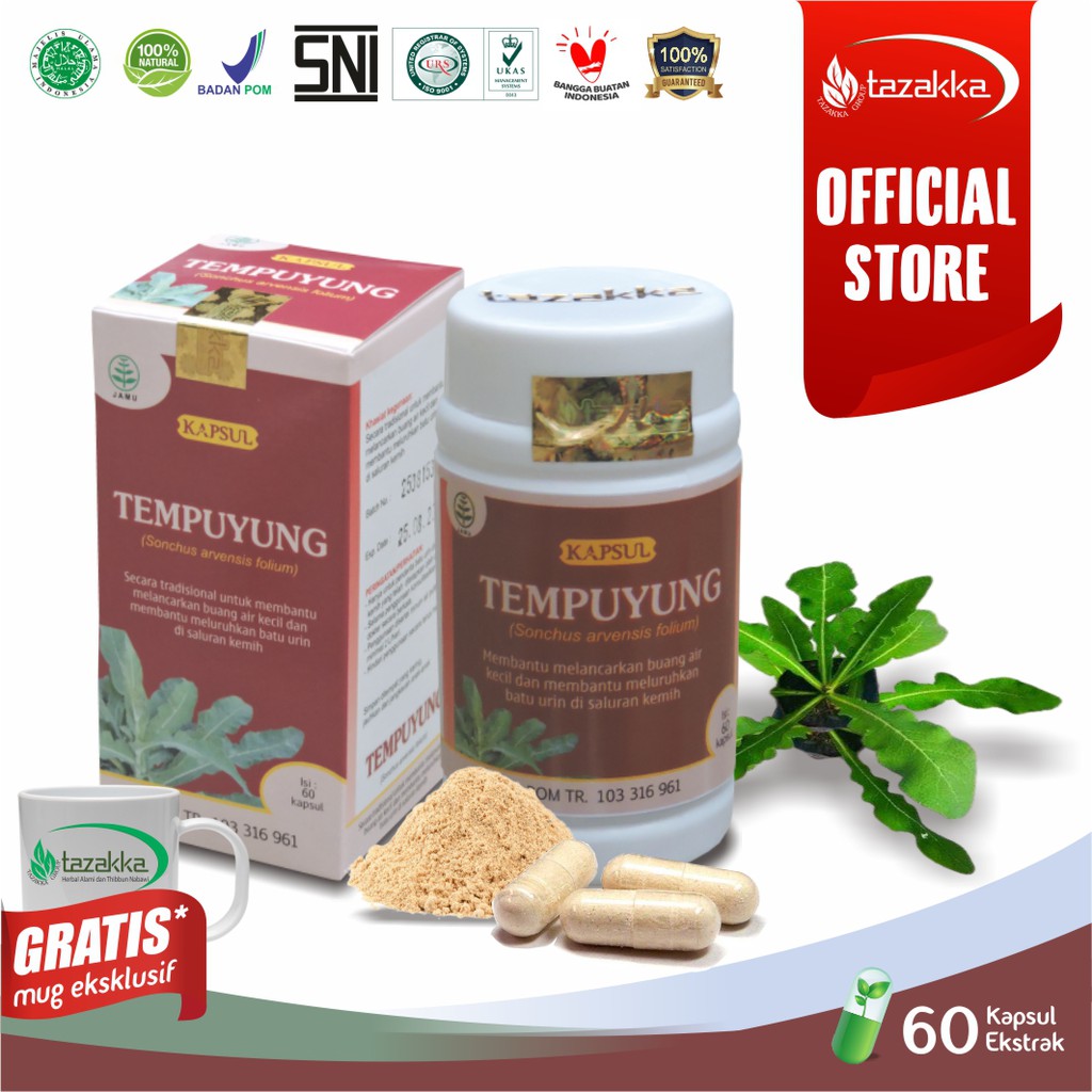 Obat Penghancur Batu Ginjal Anti Nyeri Infeksi Saluran Kemih Daun ...