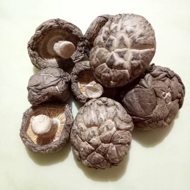 

Jamur shitake hio ko kering jamur payung mushroom