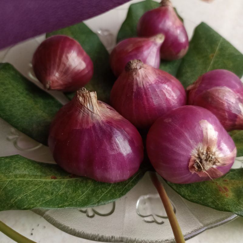 

bawang merah brebes besar 1kg