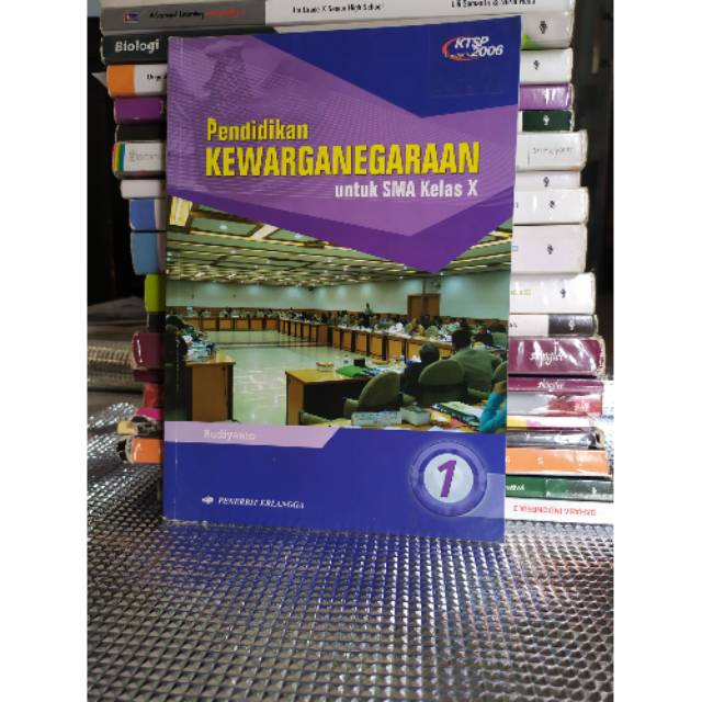 PRELOVED BUKU PKn KELAS 10 SMA//KTSP 2006//PENERBIT ERLANGGA