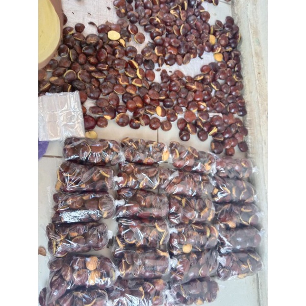 

Jengkol Sumatra Murah meriah harga petani 1/4 harga 5000
