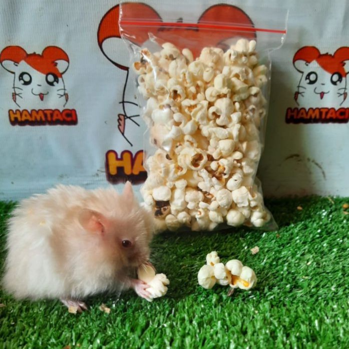 POPCORN 20GR TAWAR SNACK HAMSTER/GERBIL/PETS