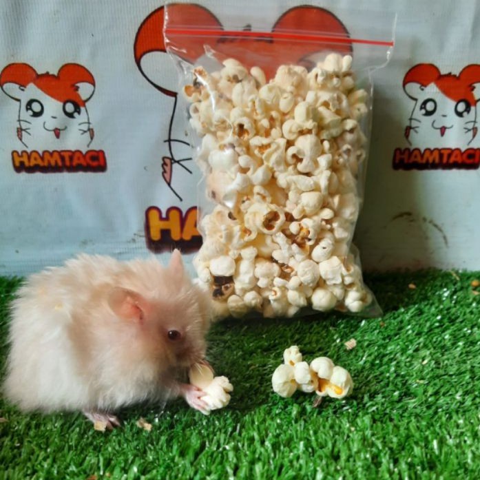 POPCORN 30GR TAWAR SNACK HAMSTER/GERBIL/PETS