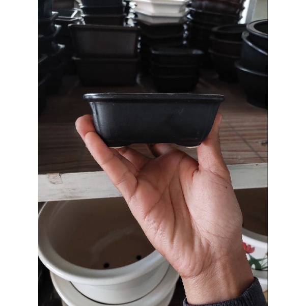 pot cramic bonsai mame