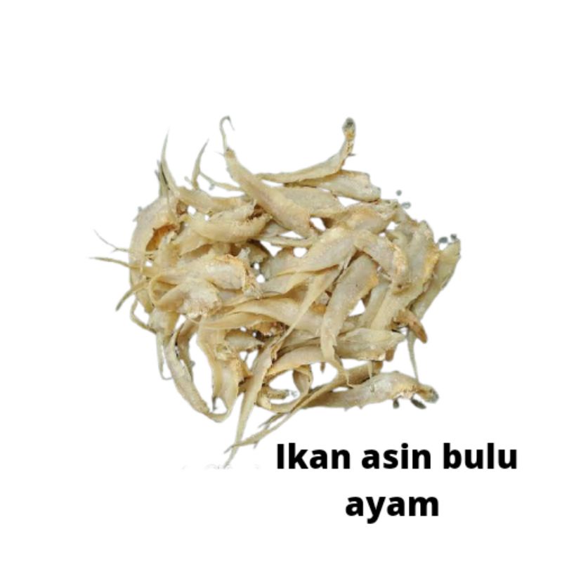 

IKAN ASIN BULU AYAM 250GR / 500GR / 1KG KUALITAS SUPER