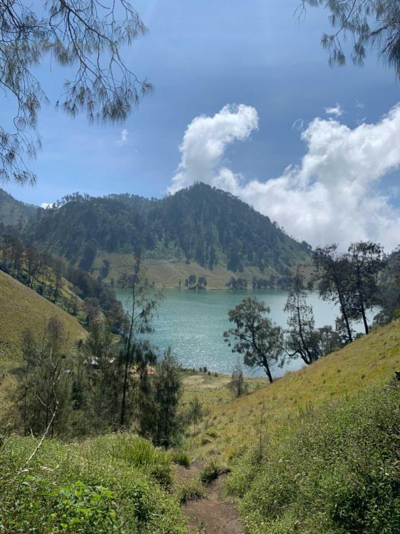 Rumah Atsiri - Fiber Stick For Reed Diffuser