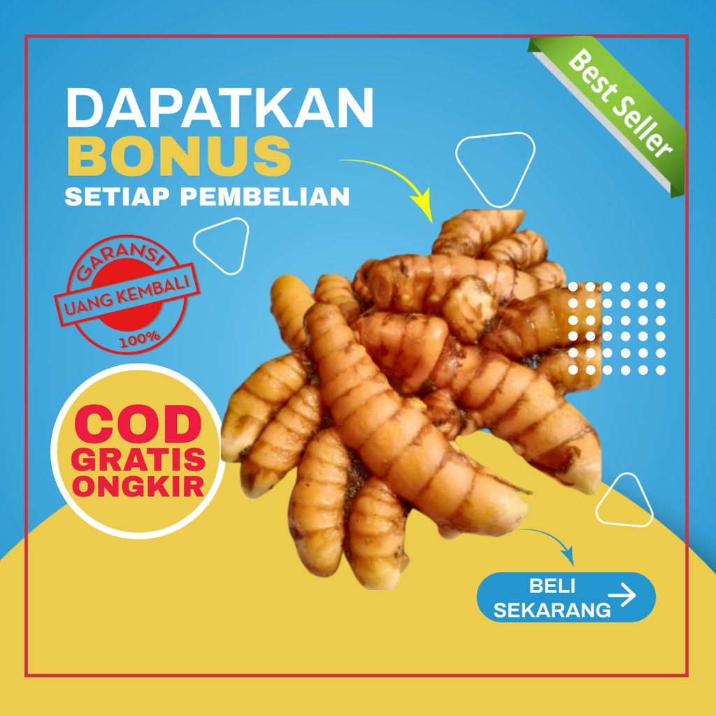 

Kunyit Segar Kunir Super 1Kg