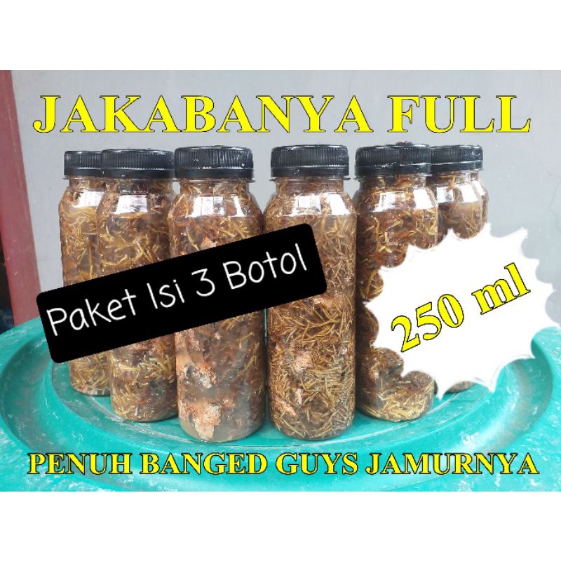 

Jamur Biang Jakaba Botol 250 ml ( Paket isi 3 botol )
