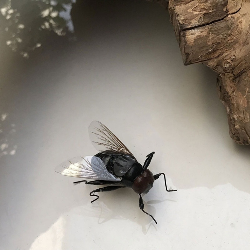 Zzz Magnet Kulkas Bentuk Serangga / Lalat Untuk Alat Bantu Mengajar