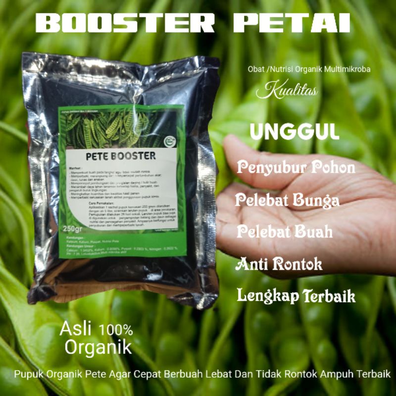 Pupuk Booster Petai Pelebat Buah Pete Organik Serbuk Terbaik Ampuh Perangsang Pete Agar Cepat Berbua