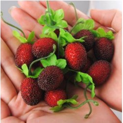 Dekorasi Gantungan Pohon natal RASPBERRY blueberry buah hiasan pohon christmas fruit