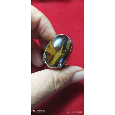 Natural akik fosil kayu badar besi unik jumbo