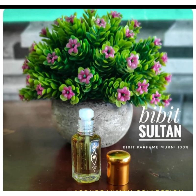 bibit parfum original aroma sultan 12 surati original