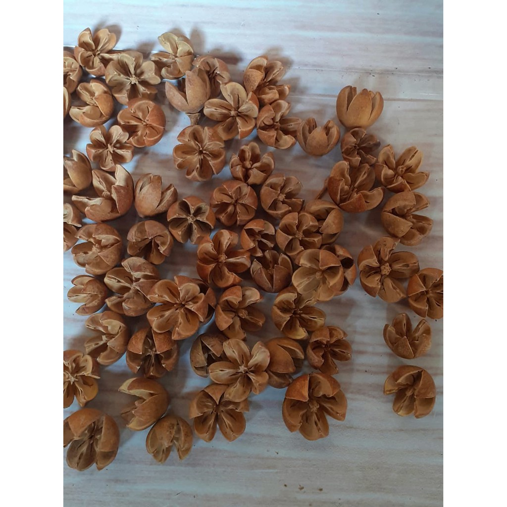 Bunga Puspa Bleach 60 pcs Tanpa Tangkai atau dengan tangkai Bunga Rustic Hiasan Decorasi Photo Props