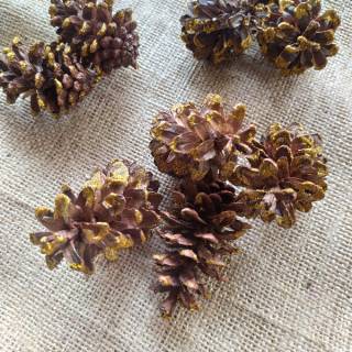  BP02 bunga pinus  gliter hiasan  natal  rustik marry crismas 