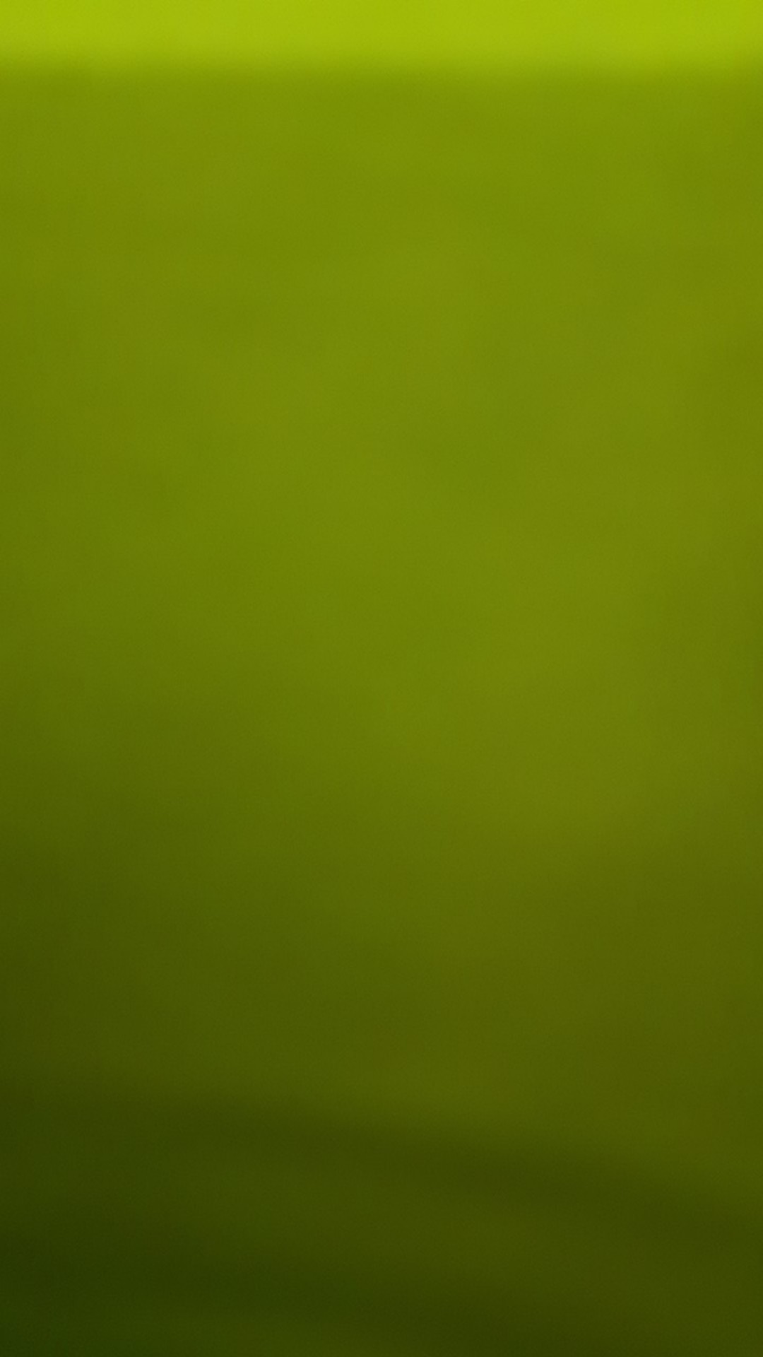 Bibit Jeruk Lemon Amerika