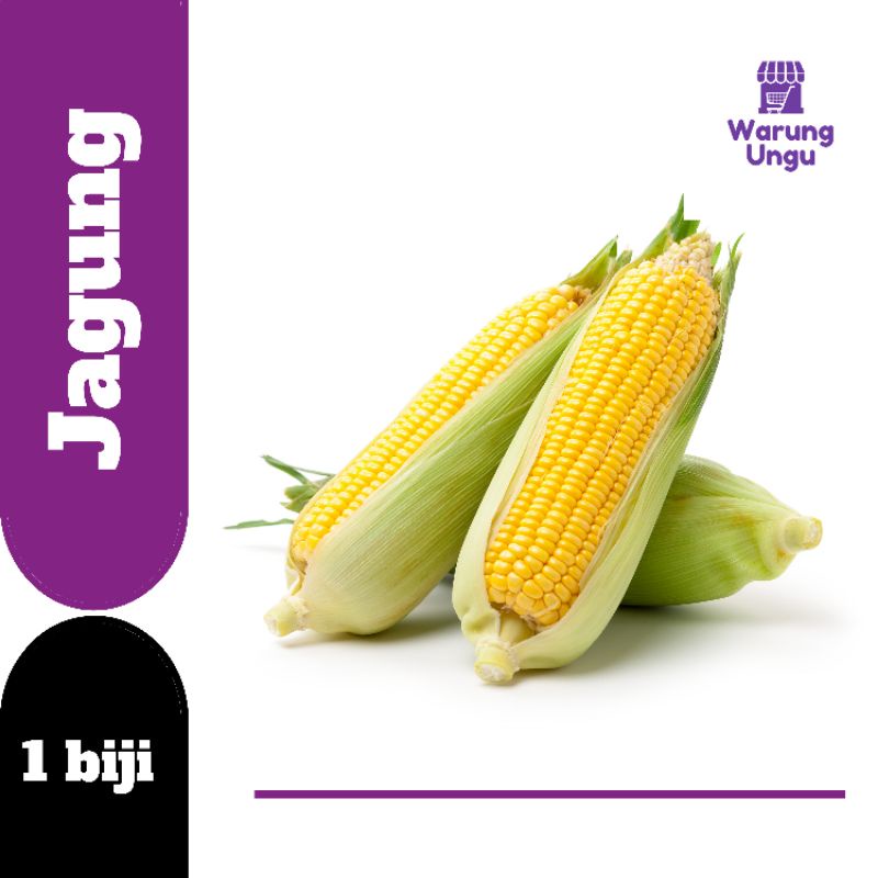 

JAGUNG MANIS | SAYUR SEGAR MURAH