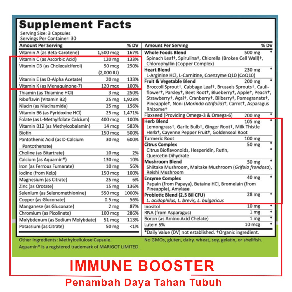 Supplements Studio Whole Food Multivitamin Plus + Probiotics 90 Kapsul Penambah Daya Tahan Tubuh USA