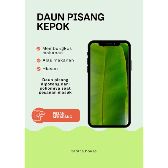 

DAUN PISANG KEPOK SEGAR LANGSUNG DARI POHONNYA