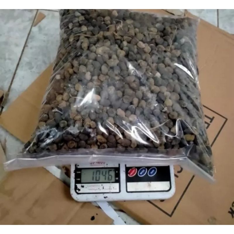 Pupuk Kandang Kandang Kambing Murni 1Kg