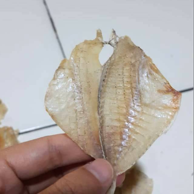 

Kapasan Tawar 1kg Murah