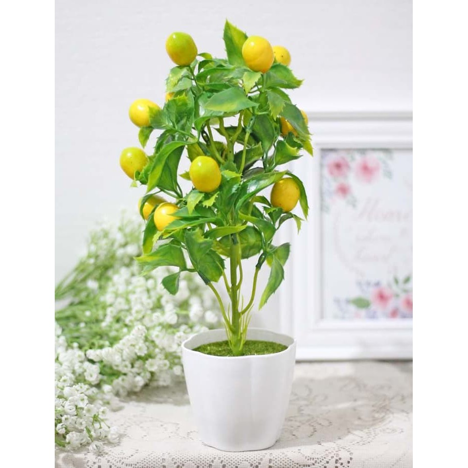 pohon buah LEMON hiasan plastik tanaman artificial imlek TINGGIPU232