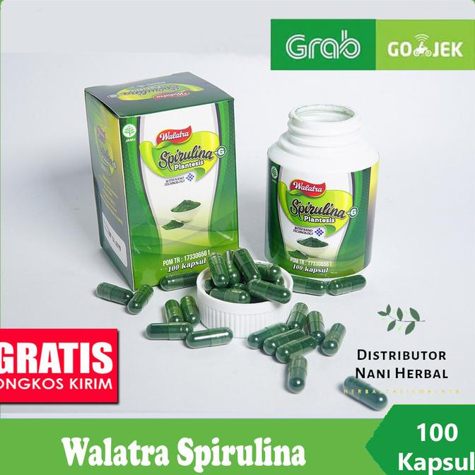 Obat Gemuk, Penggemuk Badan, Penambah Nafsu Makan Ibu Menyusui