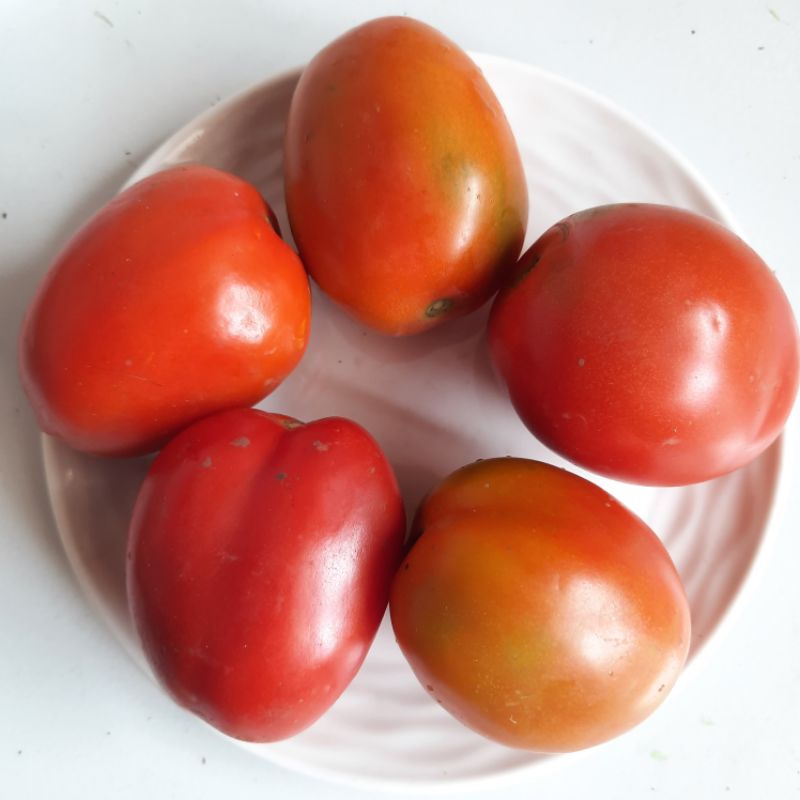 

Tomat / Tomat Merah 500gr