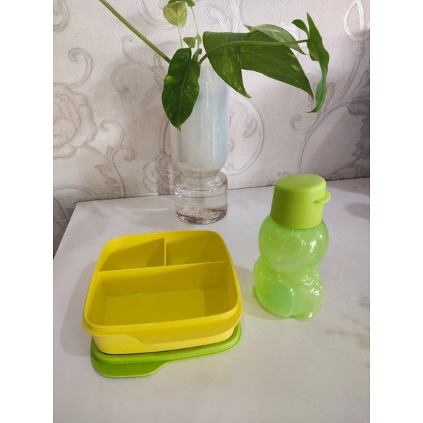 

paket eco