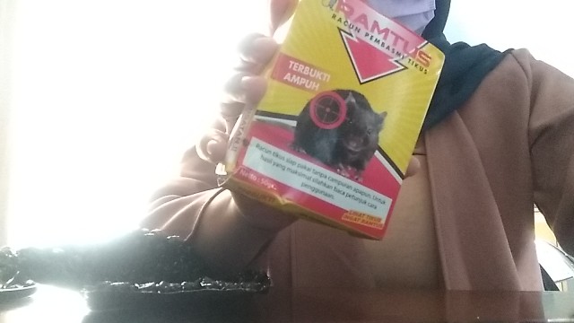 Obat Racun Tikus Ampuh Mati Kering Ramtus Perangkap / Pengusir / Jebakan Tikus Massal Tidak Berbau