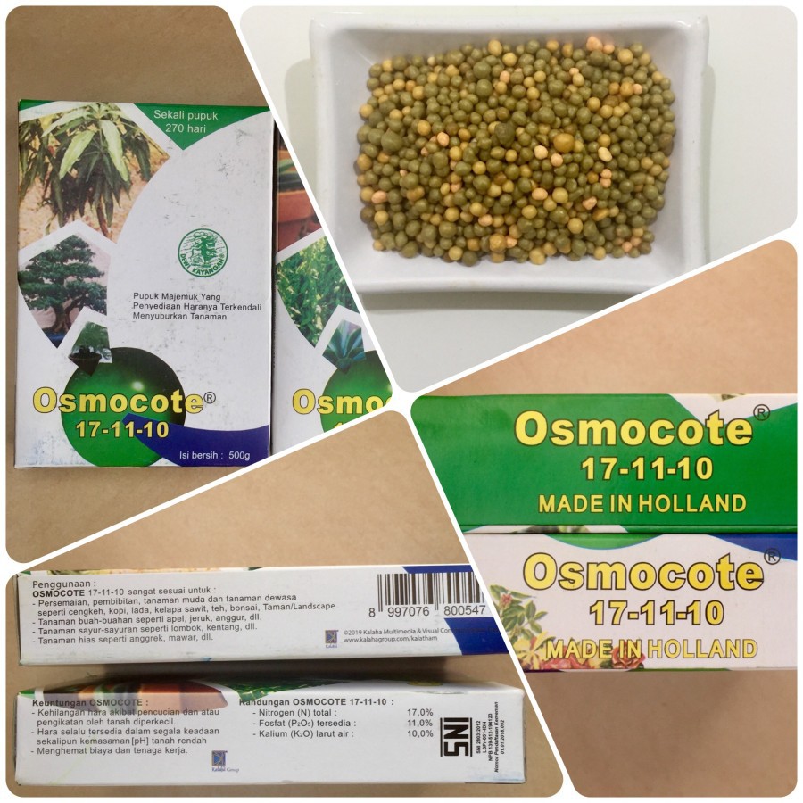 Repack 50gr Dekastar OSMOCOTE 17-11-10 Pupuk Slow Release utk Daun Aglonema Bonsai dll