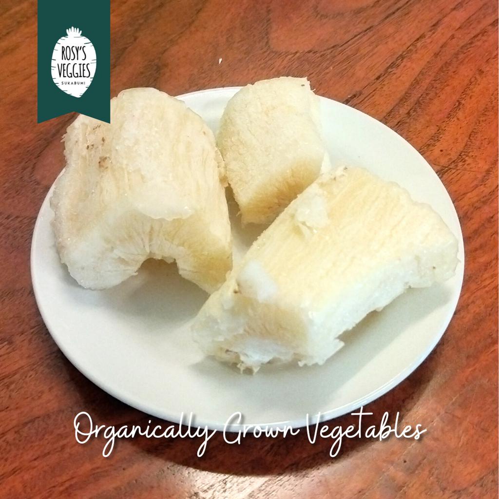 

Singkong Frozen Organik | 500 gr