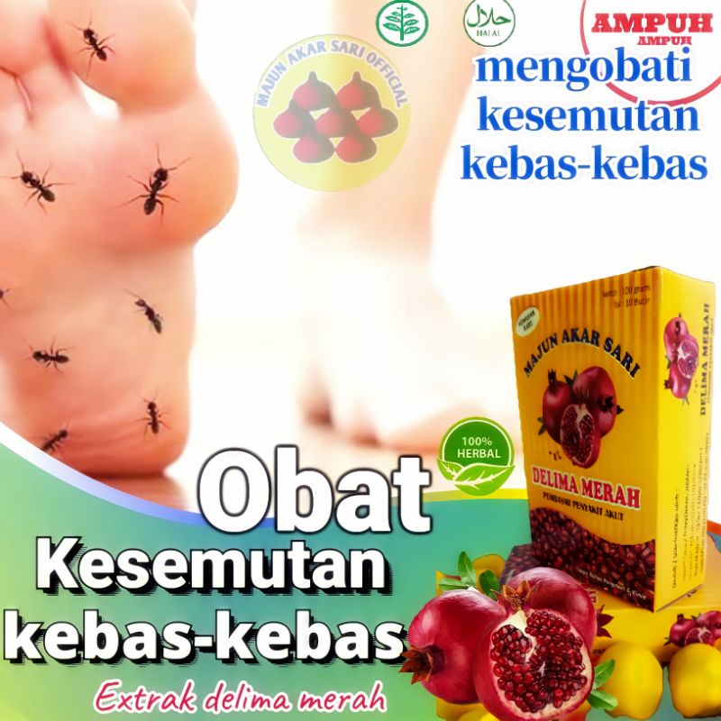 Obat Kesemutan Dan Kebas Sakit Tumit Kaki Herbal Asam Urat Ampuh Majun Akar Sari Delima Merah