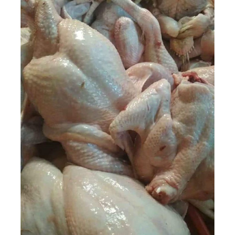 

Ayam boiler 1kg
