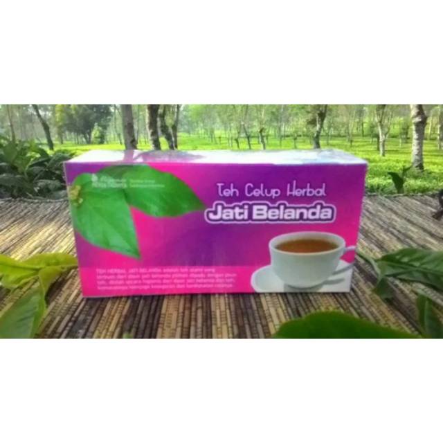 Herbal pelangsing mengurangi lemak dengan teh jati belanda ...