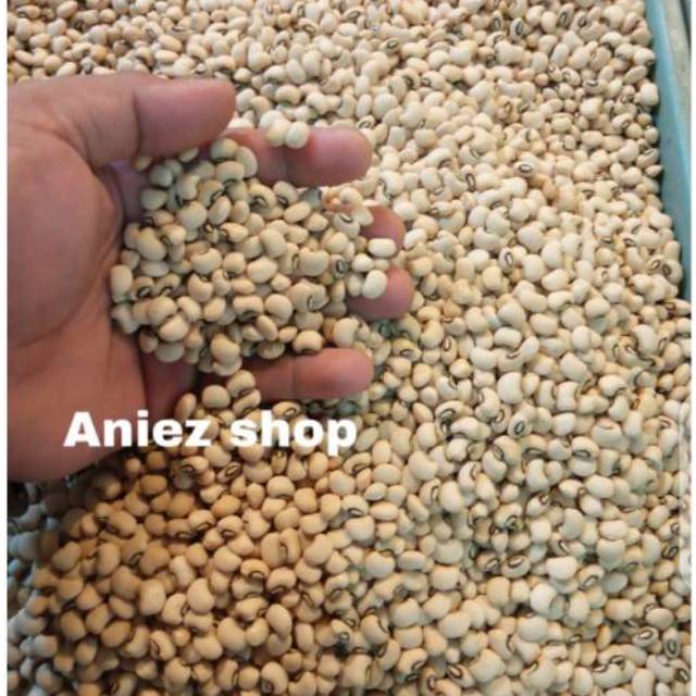 

KACANG TOLO PUTIH white kidney beans Alami 500 gr