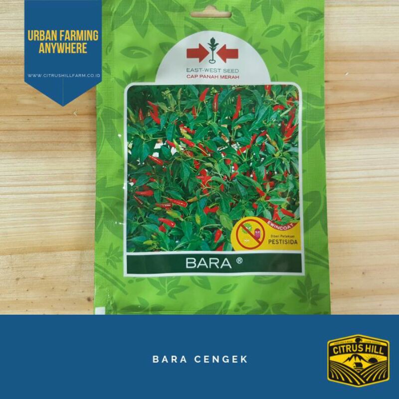 Benih Cabe Rawit Bara
