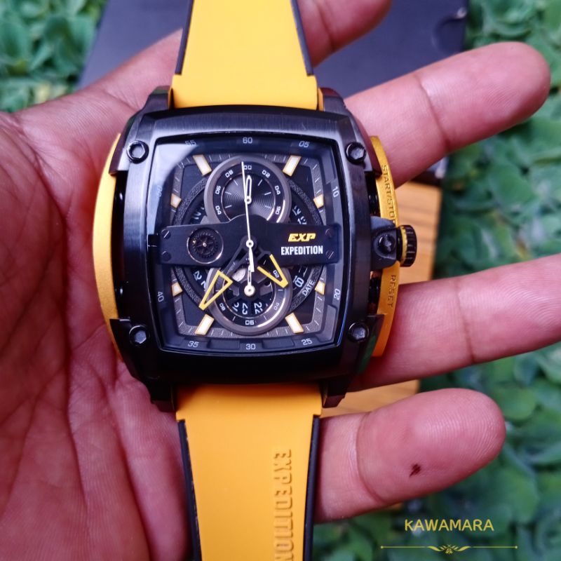 EXP 3008 M, Bumble Bee, Second mulus